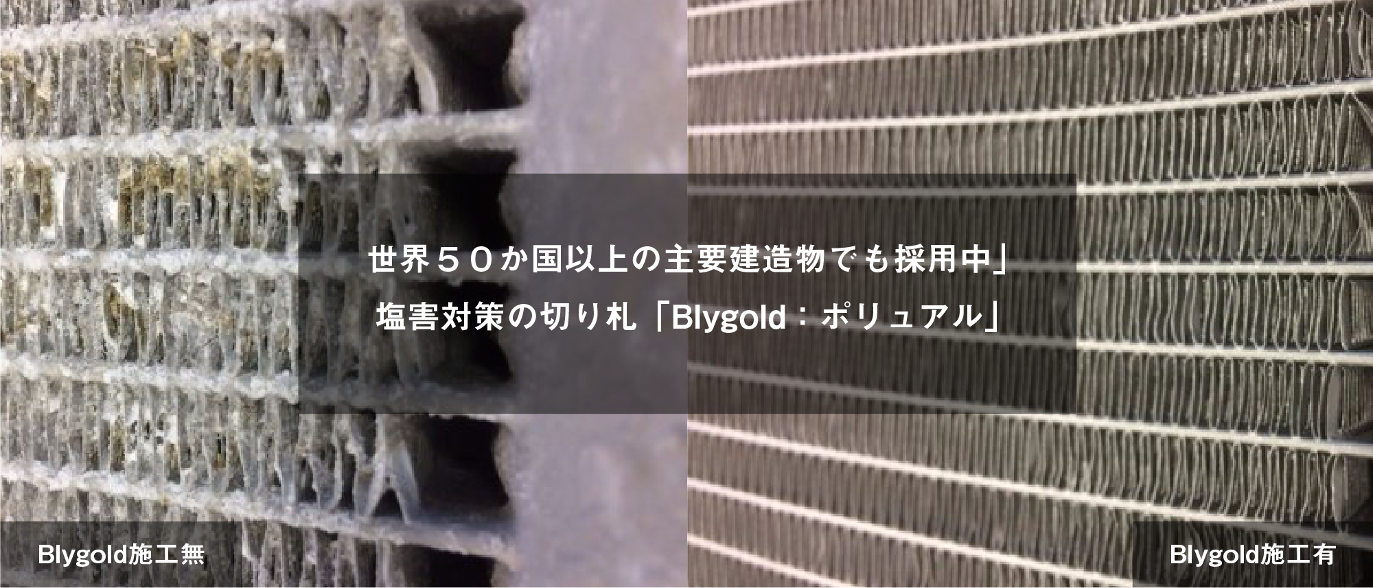 世界５０か国以上の主要建造物でも採用中」　塩害対策の切り札「Blygold：ポリュアル」